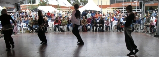 National Folk Festival, Canberra 2008 